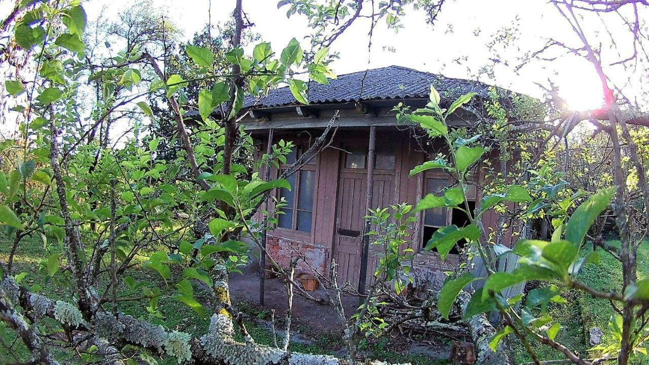 Surmava Palace مارتيفيلي المظهر الخارجي الصورة